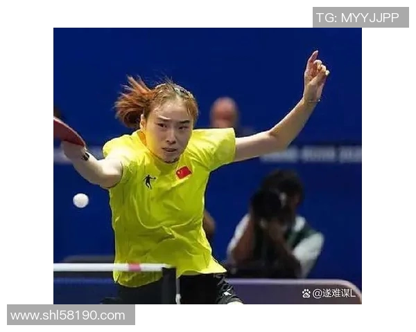 海牙与维迪斯激战正酣双方争夺胜利展现精彩对决