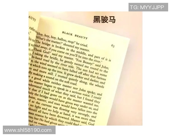 拉米扎纳的传奇故事与文化影响力探讨