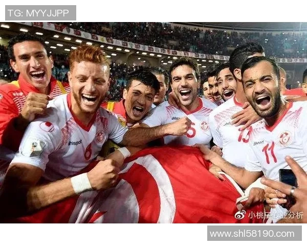 突尼斯与马里足球对决专家深度分析及胜负预测