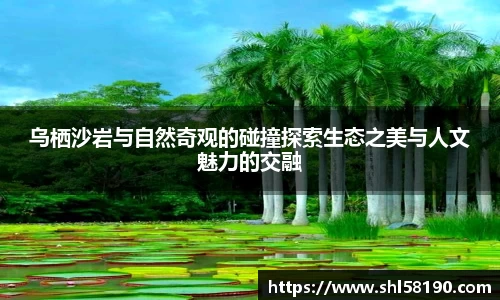 OETY欧亿最新地址
